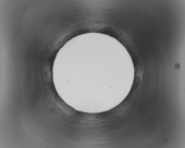 X0000112981252200910081102