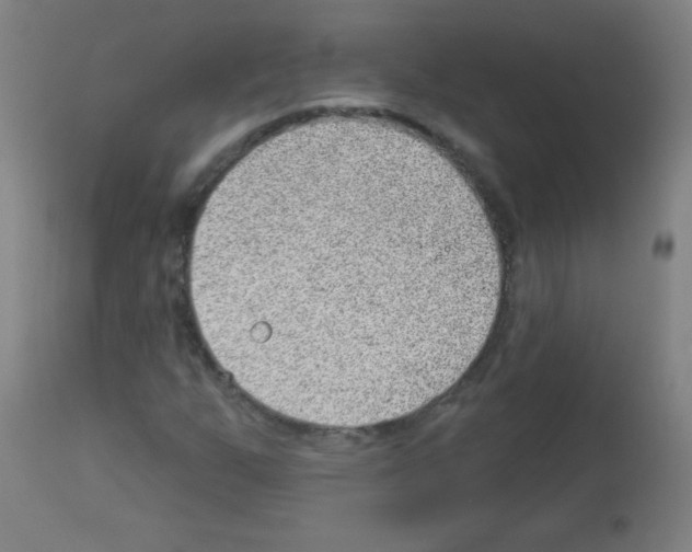 X0000112981255200910081102