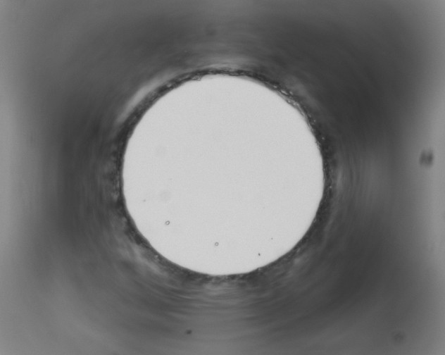 X0000112981256200910081102