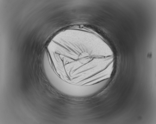 X0000112981257200910081101