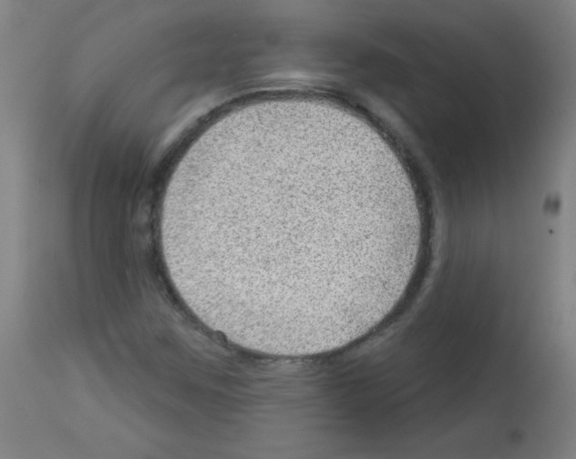 X0000112981259200910081101