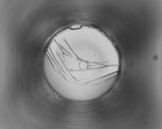 X0000112981260200910081101