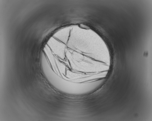 X0000112981261200910081101
