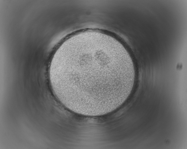 X0000112981263200910081101