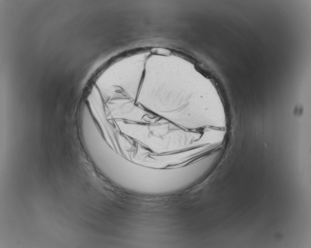 X0000112981264200910081101