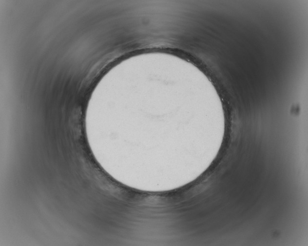 X0000112981265200910081101