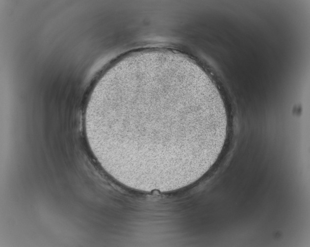 X0000112981267200910081101