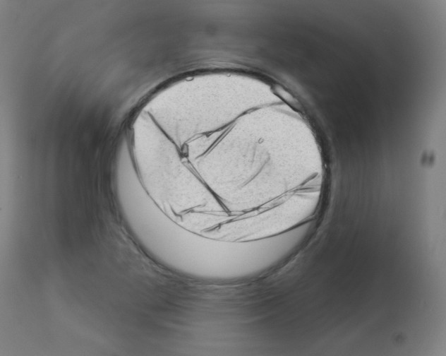 X0000112981269200910081101