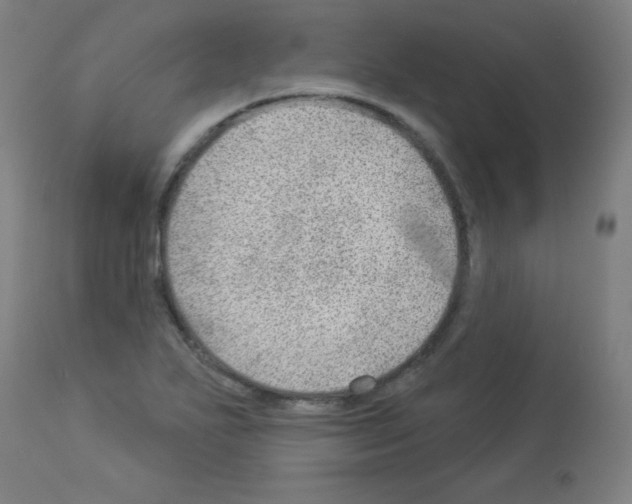 X0000112981271200910081101