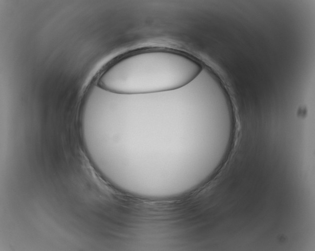X0000112981272200910081101