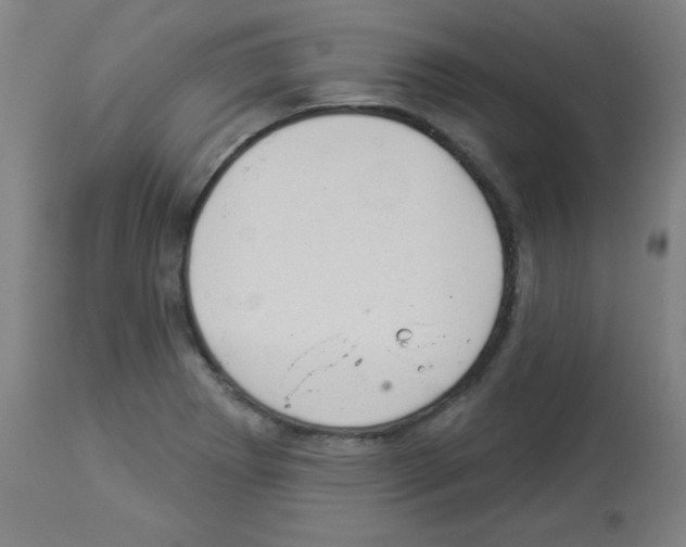 X0000112981273200910081101