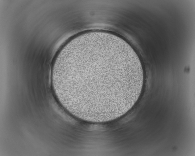 X0000112981275200910081101