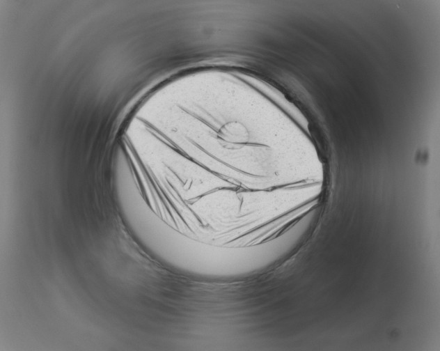X0000112981276200910081101