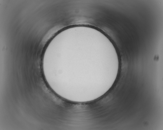 X0000112981277200910081101