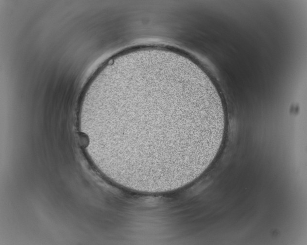 X0000112981279200910081101