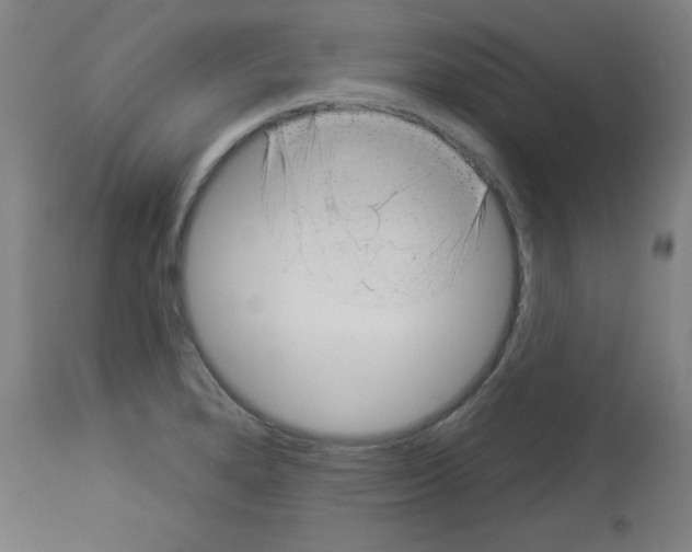 X0000112981280200910081101