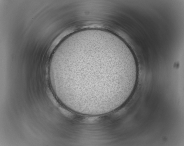 X0000112981282200910081101