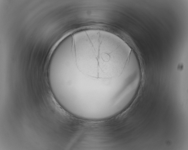 X0000112981284200910081101