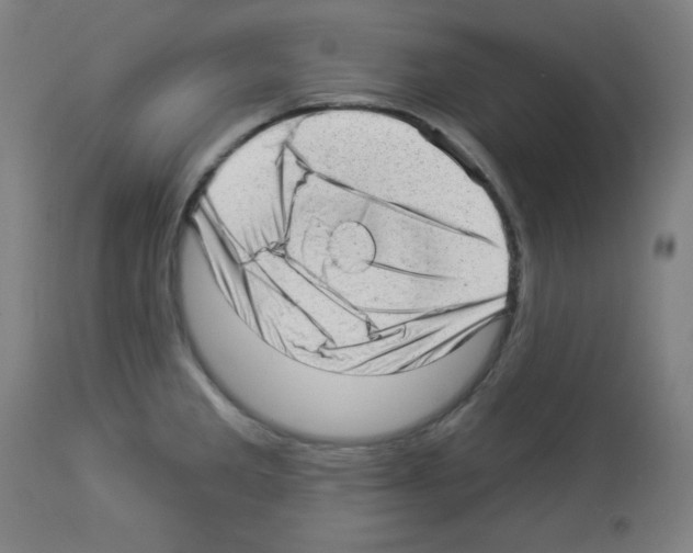 X0000112981285200910081101
