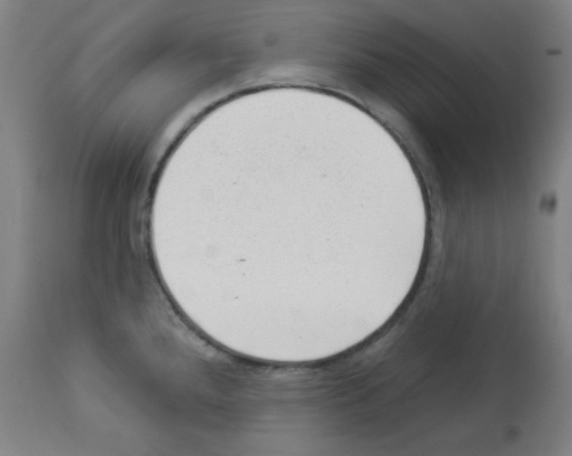 X0000112981288200910081101