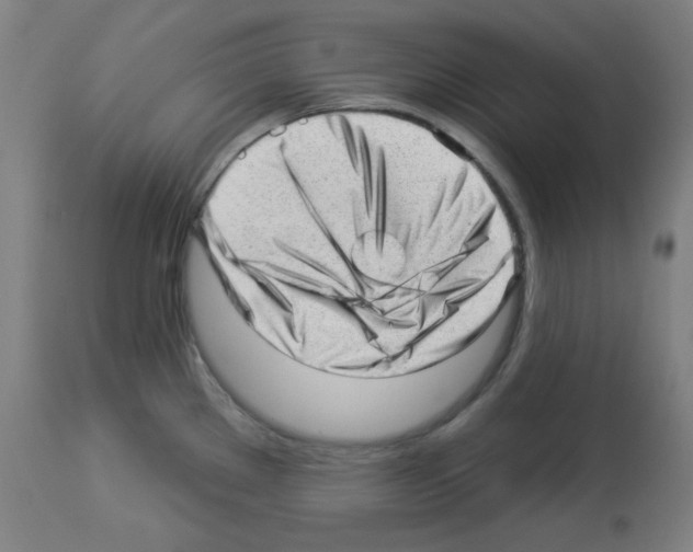X0000112981289200910081101