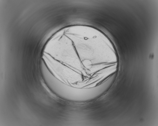 X0000112981293200910081101