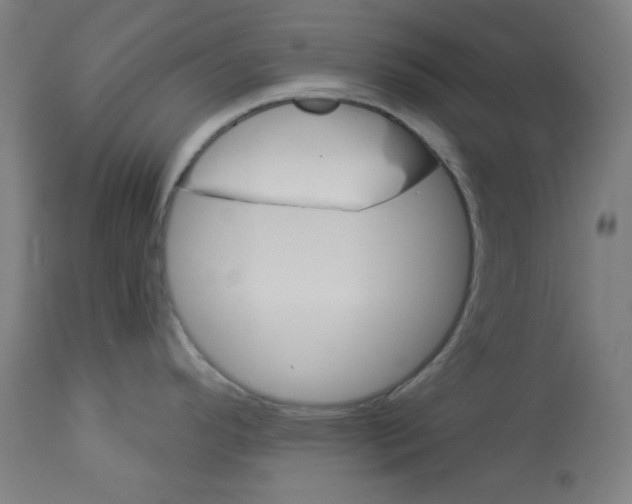 X0000112981296200910081101