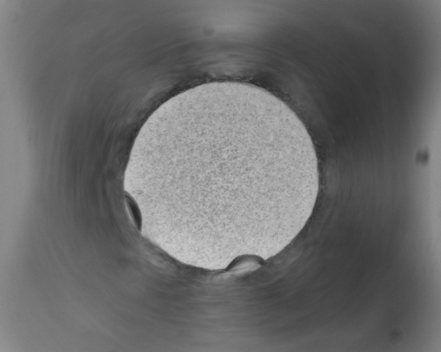X0000112981297200910081100