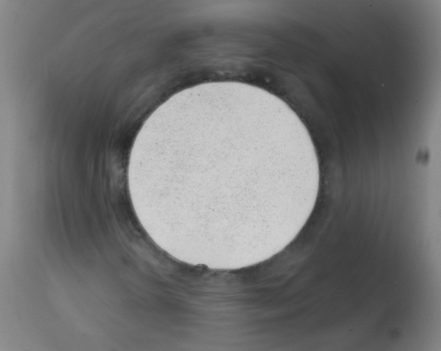 X0000112981298200910081100