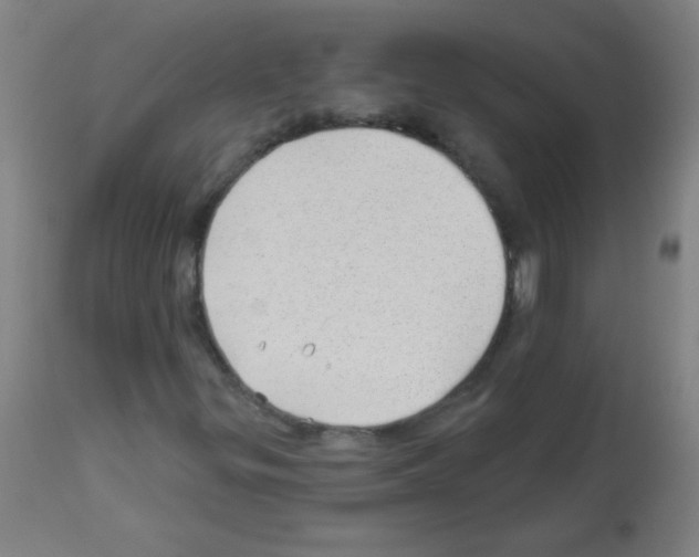 X0000112981299200910081100