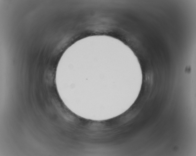 X0000112981300200910081100