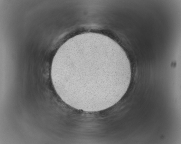 X0000112981301200910081100
