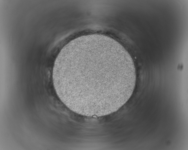 X0000112981302200910081100