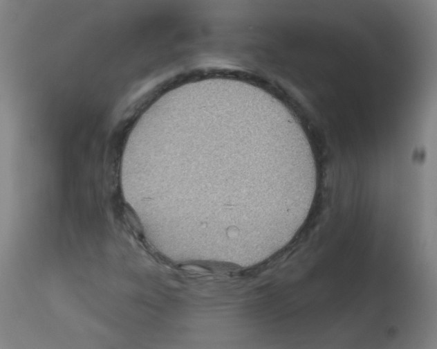 X0000112981303200910081100