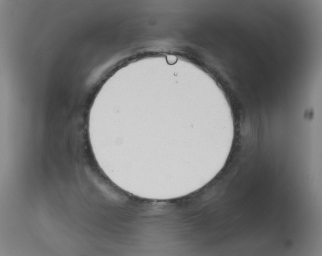 X0000112981304200910081100