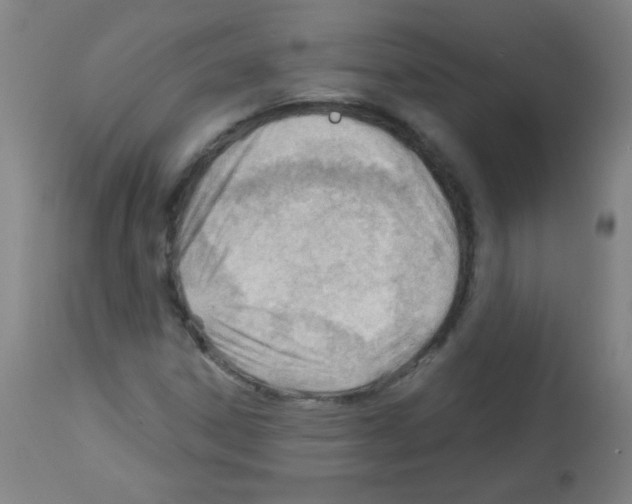 X0000112981306200910081100