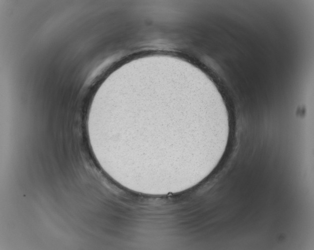 X0000112981307200910081100