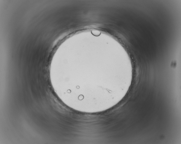 X0000112981308200910081100
