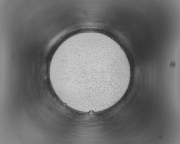 X0000112981310200910081100