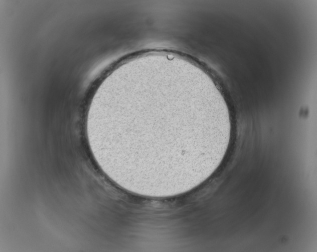 X0000112981311200910081100