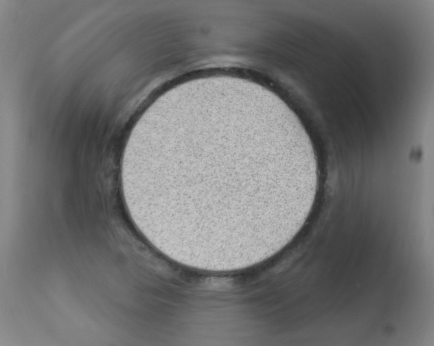 X0000112981313200910081100