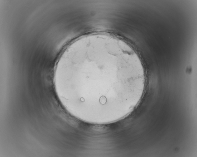 X0000112981314200910081100