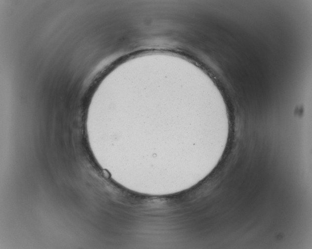 X0000112981315200910081100