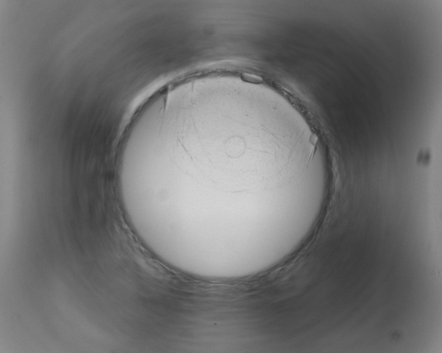 X0000112981316200910081100