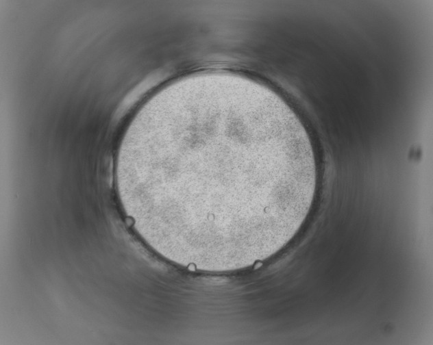 X0000112981317200910081101