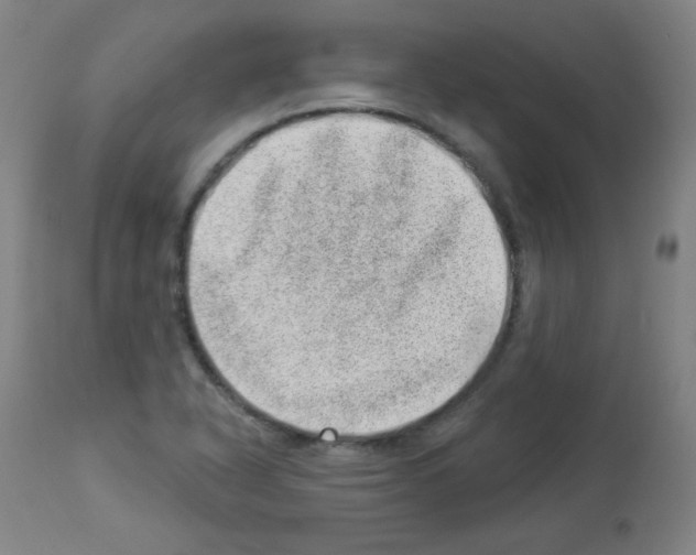 X0000112981318200910081101