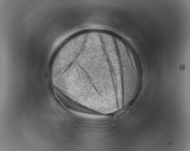 X0000112981319200910081101