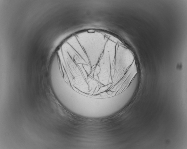X0000112981320200910081101