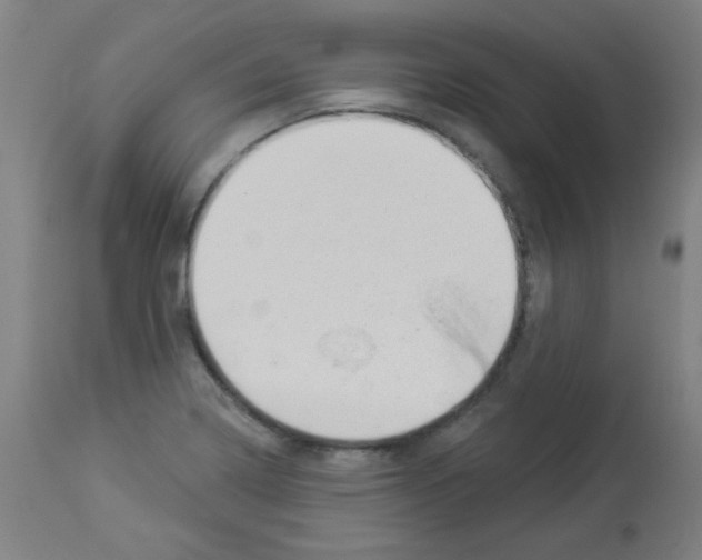 X0000112981322200910081101
