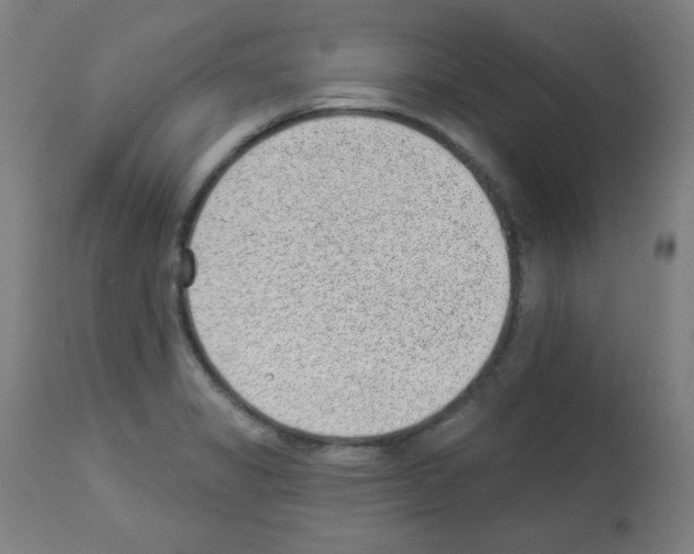 X0000112981325200910081101